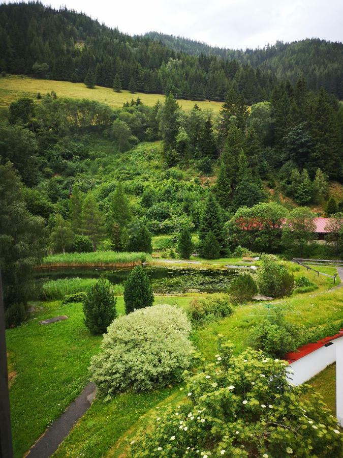 Grassegger Appartementhaus Sankt Johann am Tauern Extérieur photo