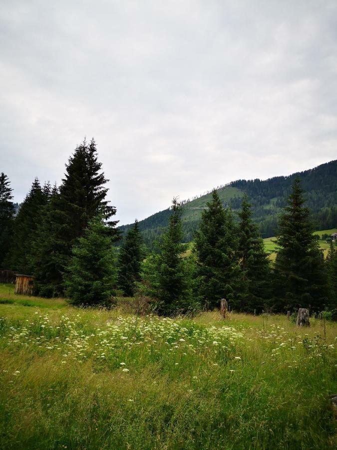 Grassegger Appartementhaus Sankt Johann am Tauern Extérieur photo